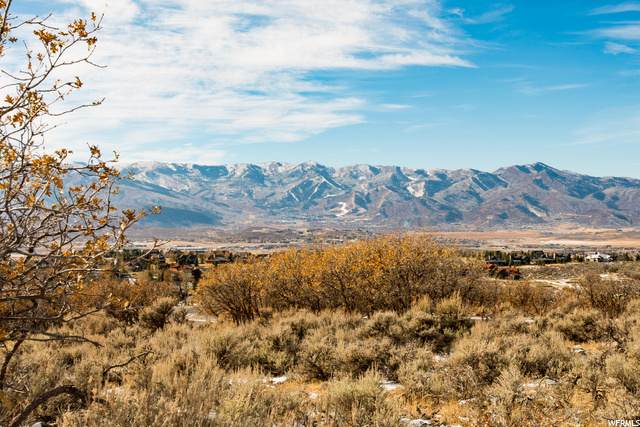 3931 Pinnacle Sky Loop - Photo 1