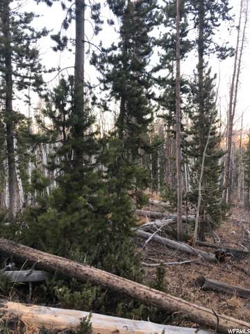 3024 Uinta Dr - Photo 1