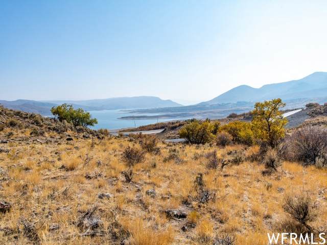 11997 Gemini Way - Photo 1