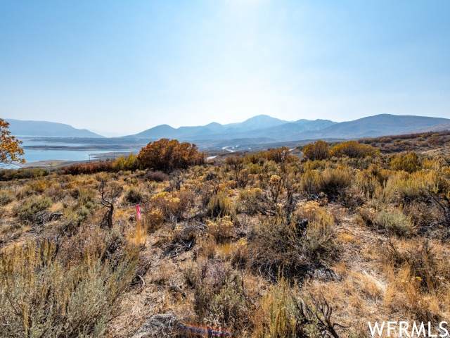 12029 Gemini Way - Photo 1