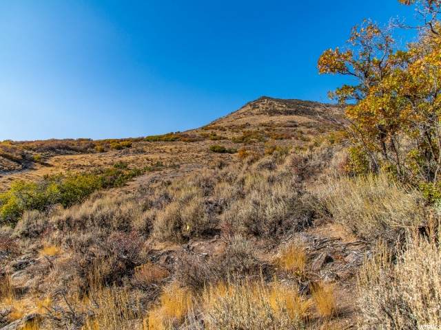 1222 Gemini Way - Photo 1