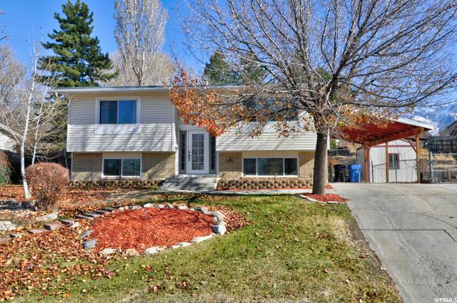10513 Godatia Cir - Photo 1