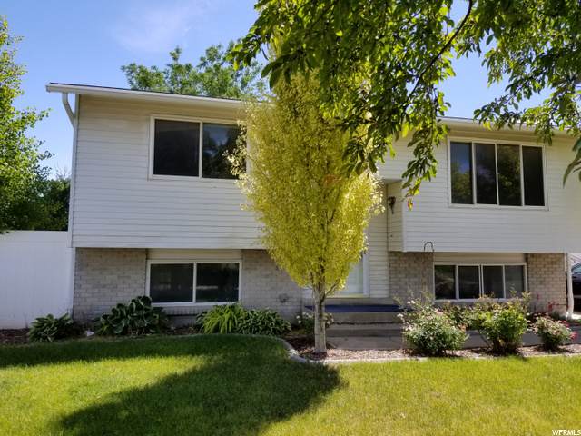 8141 Armoridge Ln - Photo 1