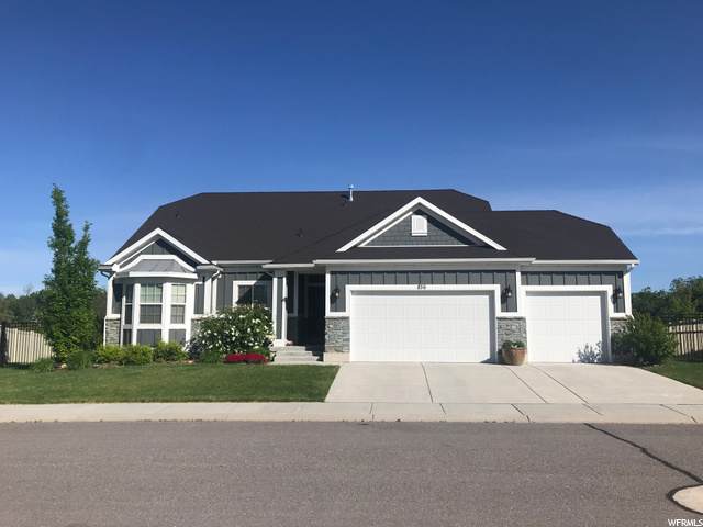 856 Snap Dragon Ln - Photo 1