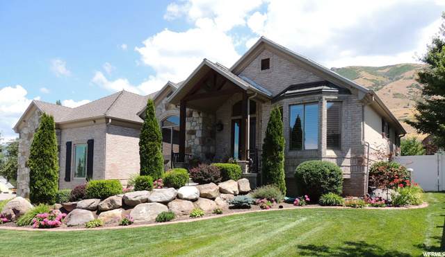 13231 Berry Patch Ct - Photo 1