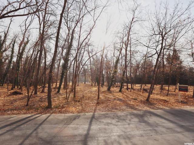 2328 Walker Ln - Photo 1