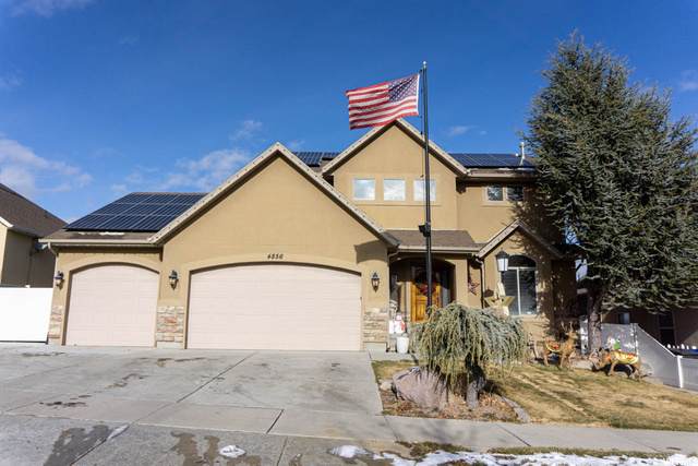 4856 Boulder Meadow Dr - Photo 1