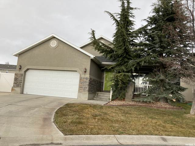 3528 Newland Loop - Photo 1