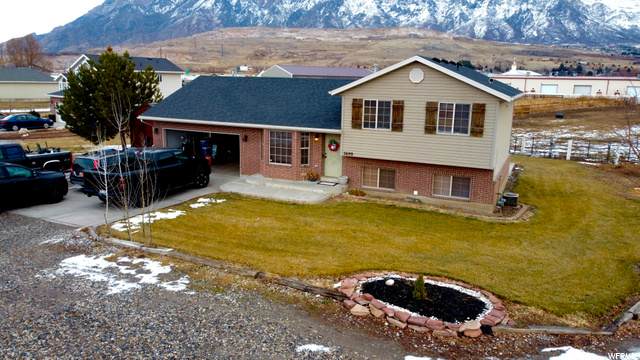 3690 Higley Rd - Photo 1