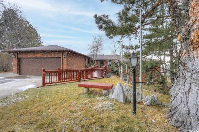 10972 Cindy Cir - Photo 1
