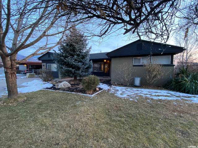 492 Marva - Photo 1