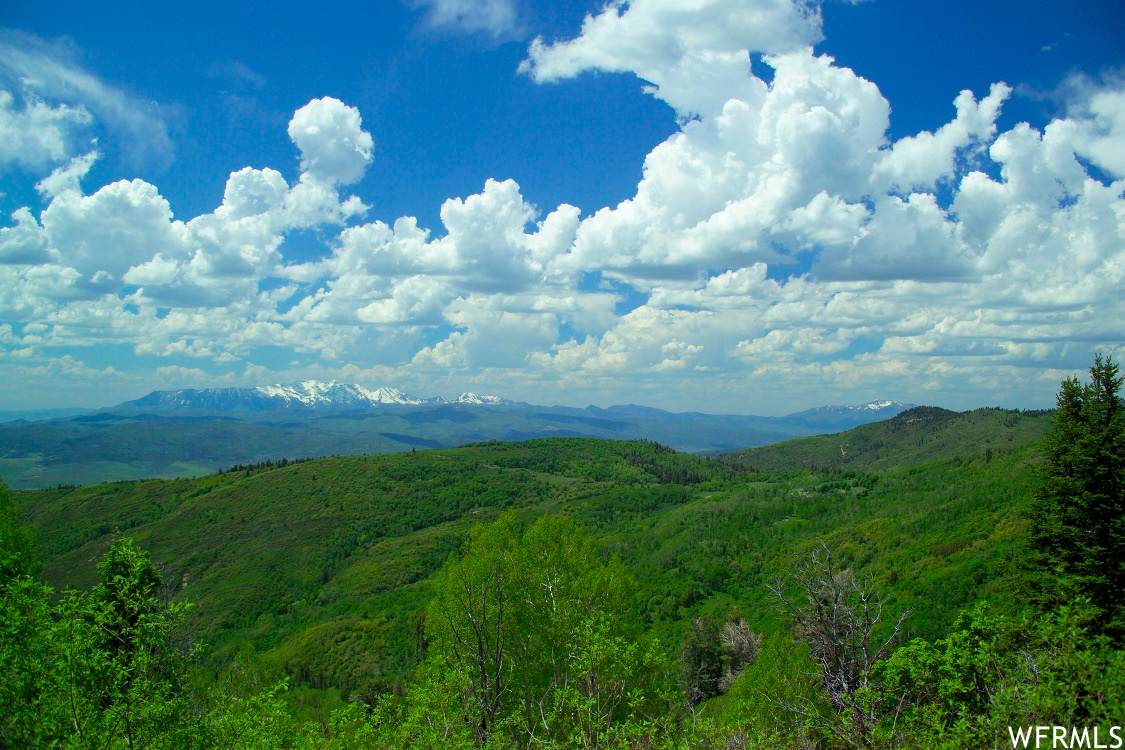 22735 13379 - Photo 1