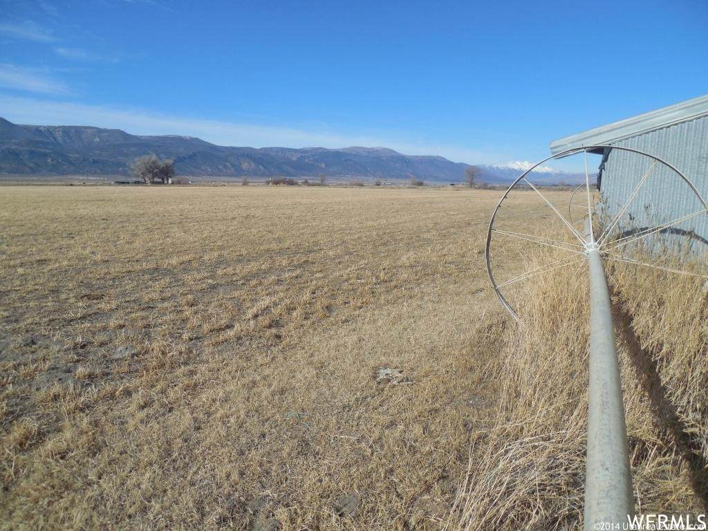 15000 Feedmill Rd. - Photo 1