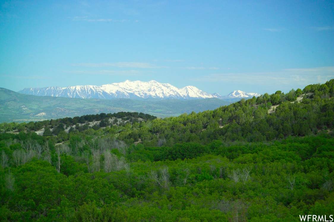 22345 13224 - Photo 1