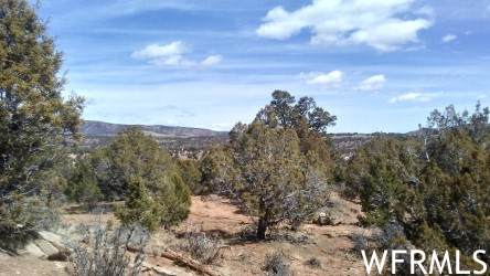 45681 Bluebird Ln - Photo 1