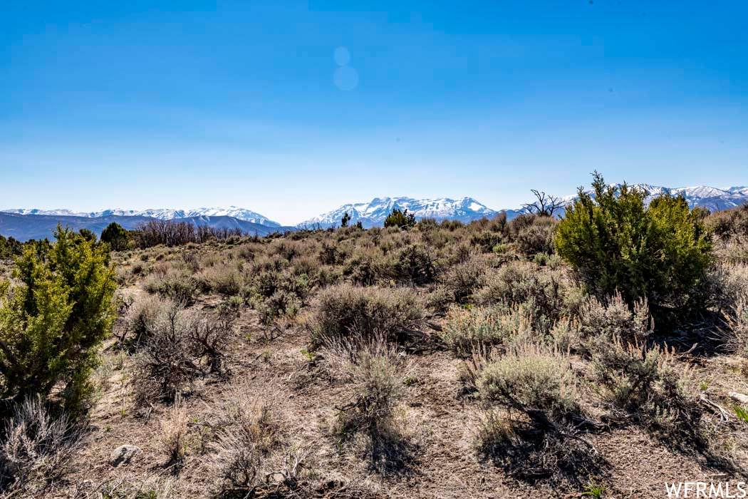 2784 Boulder Top Loop - Photo 1