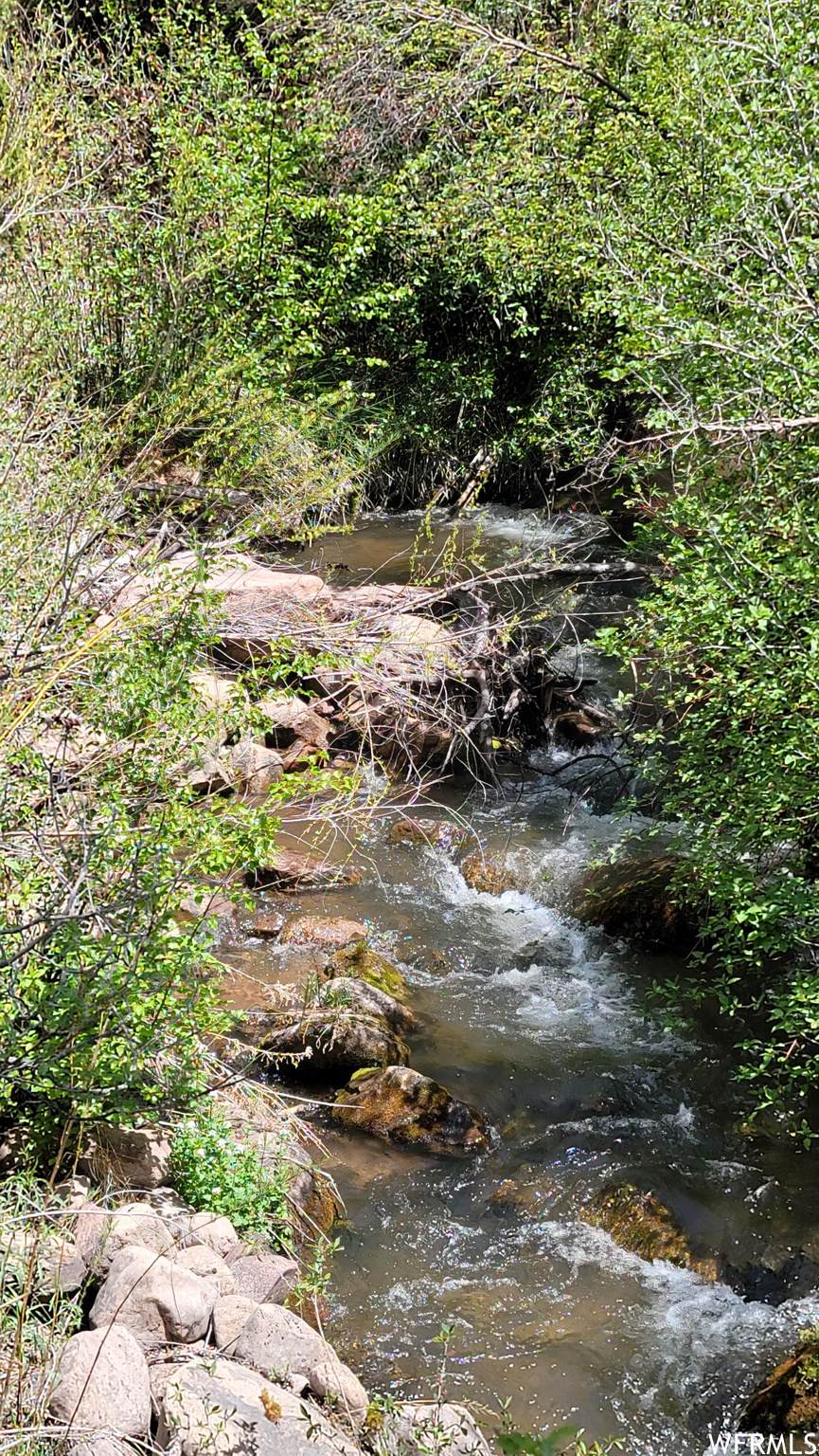 1000 Mill Creek Cyn - Photo 1