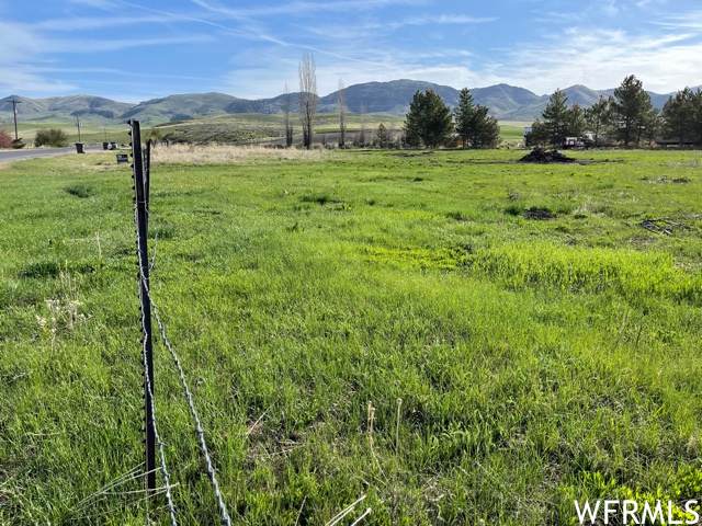 6335 Old Hwy 191 - Photo 1