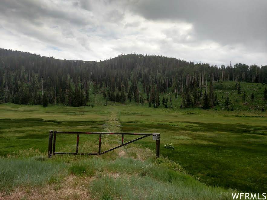 12 State Highway 264 - Photo 1
