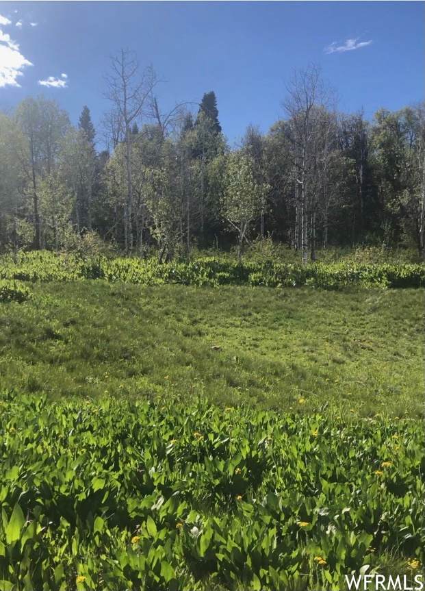 155 Porcupine Loop - Photo 1
