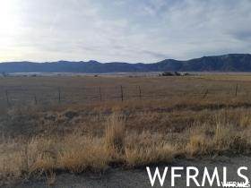 0 00 - Photo 1