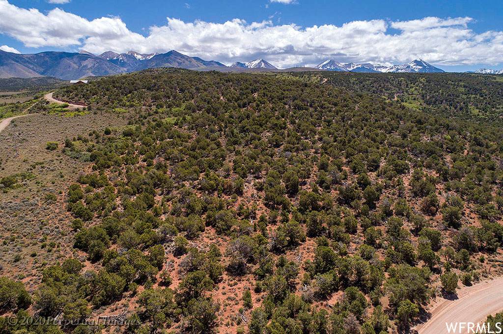 12663 Sand Flats Rd - Photo 1