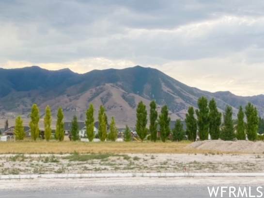 4740 Selma Way - Photo 1