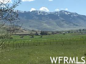 590 7800 - Photo 1