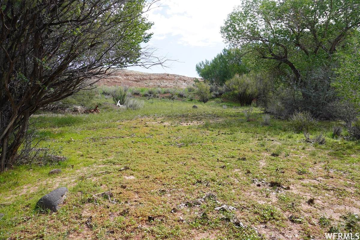 4400 Notom Rd - Photo 1