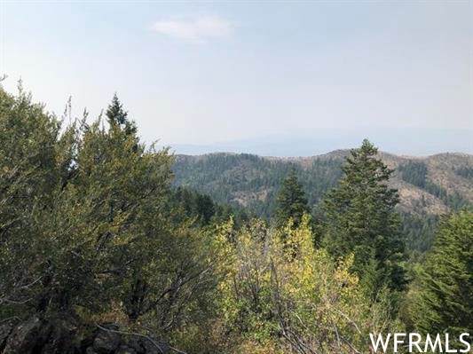 0 High Pine - Photo 1