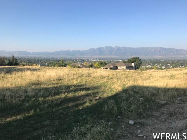 376 Red Fox Trce - Photo 1