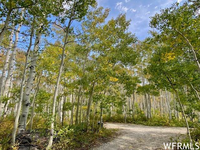 2478 Mars Way - Photo 1