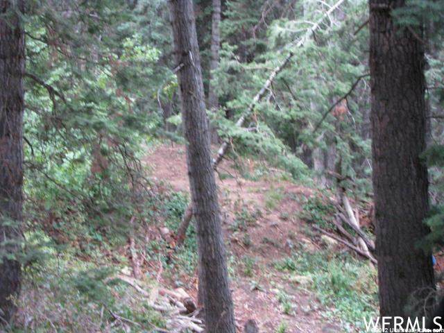 22 Sky Haven Dr - Photo 1