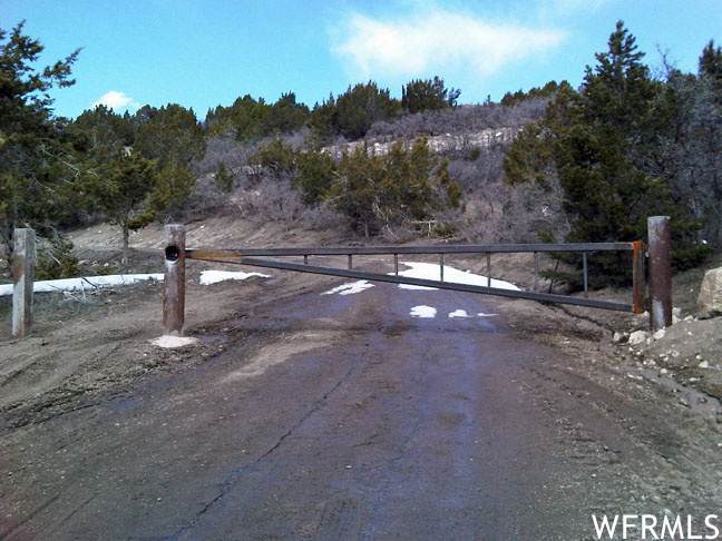 9 Pine Nut Way - Photo 1