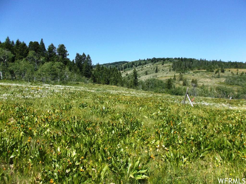8091 Highway 36 - Photo 1