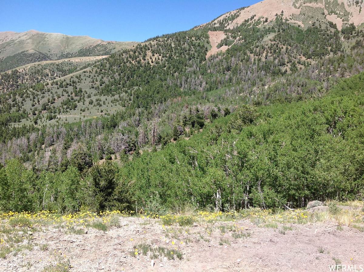 5000 Mt Ellen Rd - Photo 1