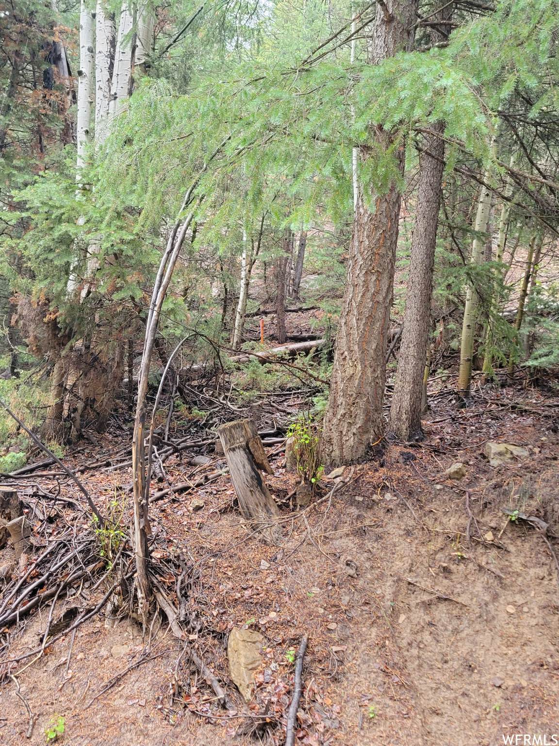 Address Not Published - Photo 1