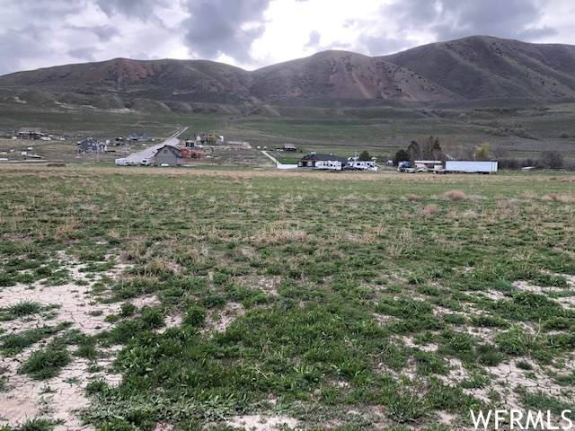 13554 Highway 38 - Photo 1