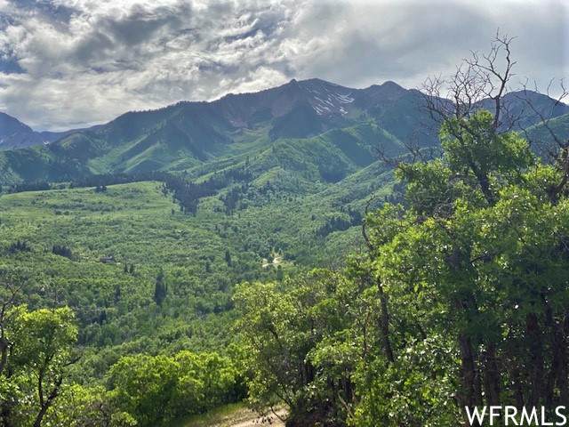 4 Spring Mountain Dr - Photo 1