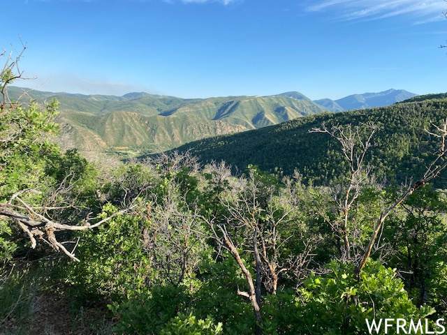 11 Spring Mountain Dr - Photo 1