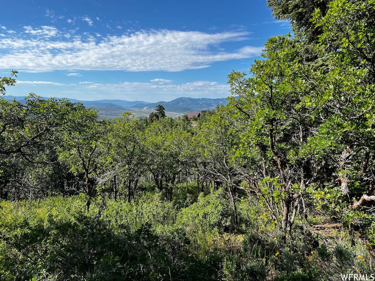 2484 Forest Meadow Rd - Photo 1