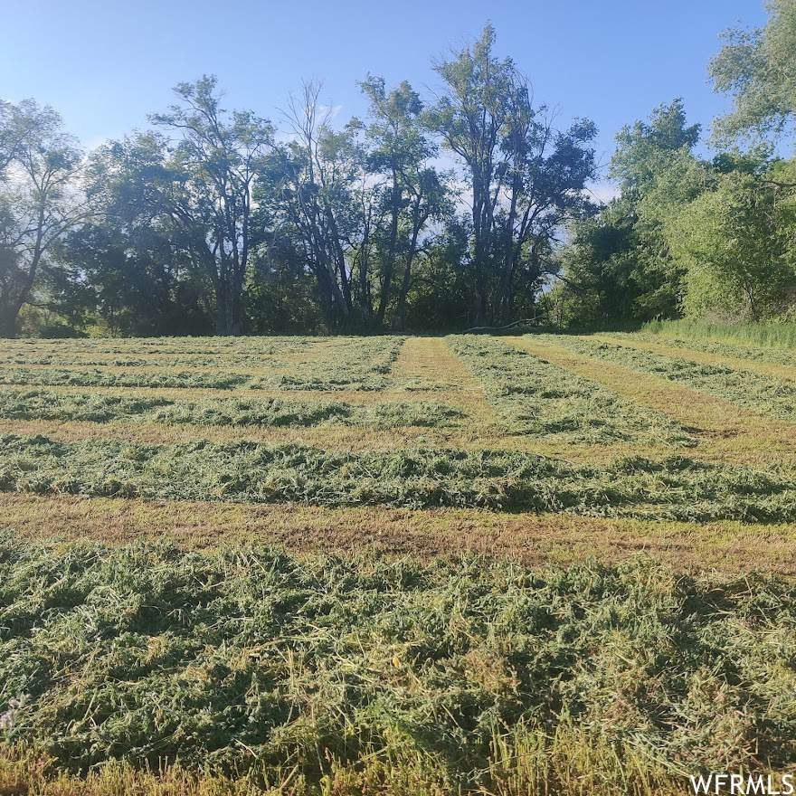 460 400 - Photo 1