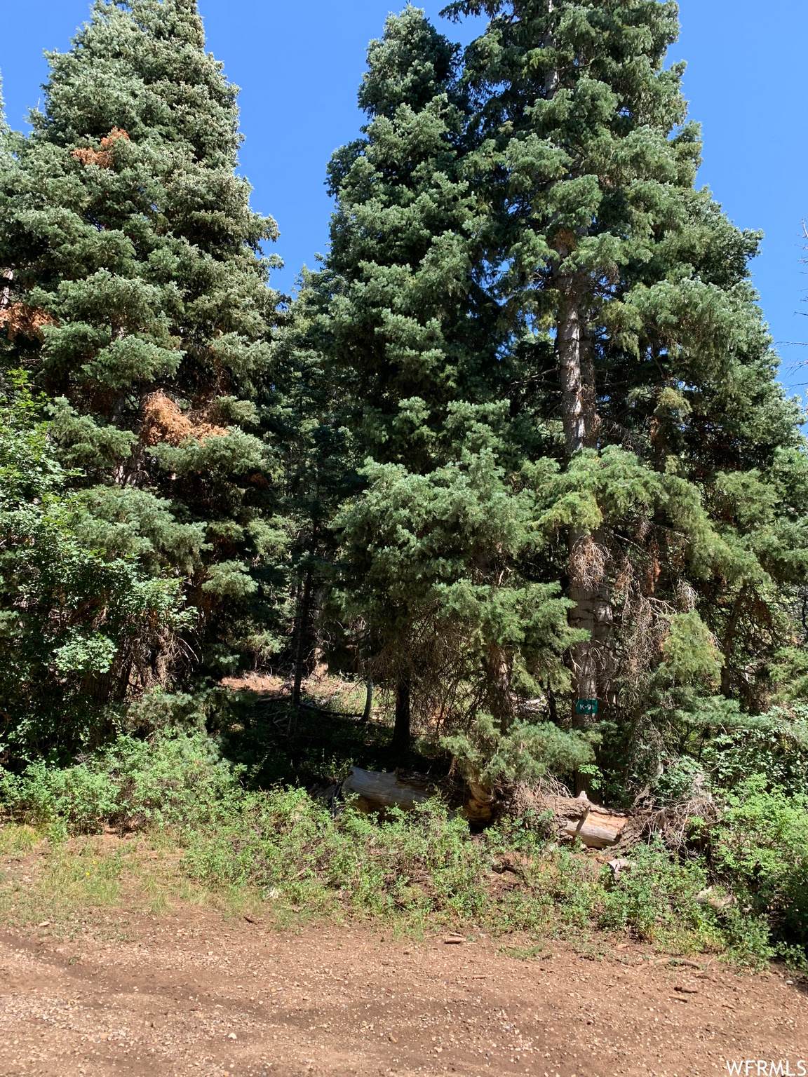 91 K Hidden Valey Dr - Photo 1