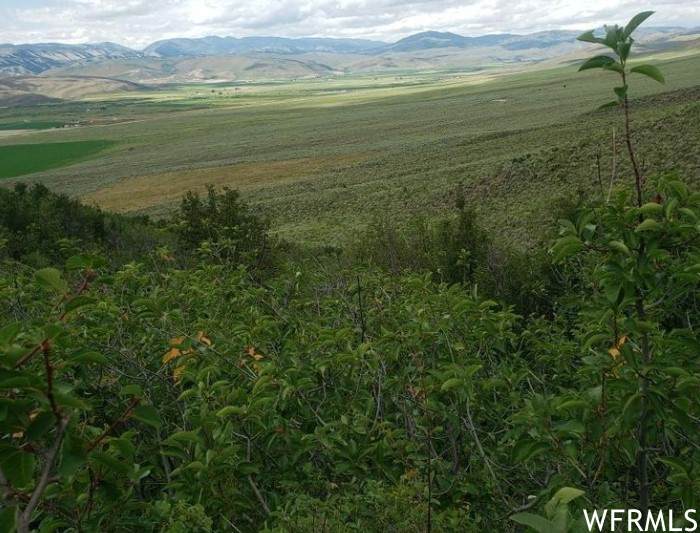 120 Wy Statle Line 89 - Photo 1