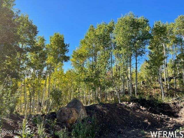 1985 Valley Vista Dr - Photo 1