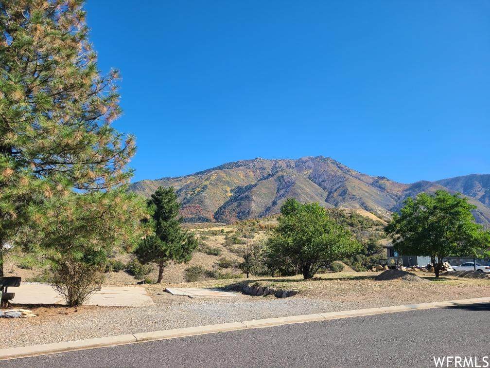 151 Fremont Way - Photo 1
