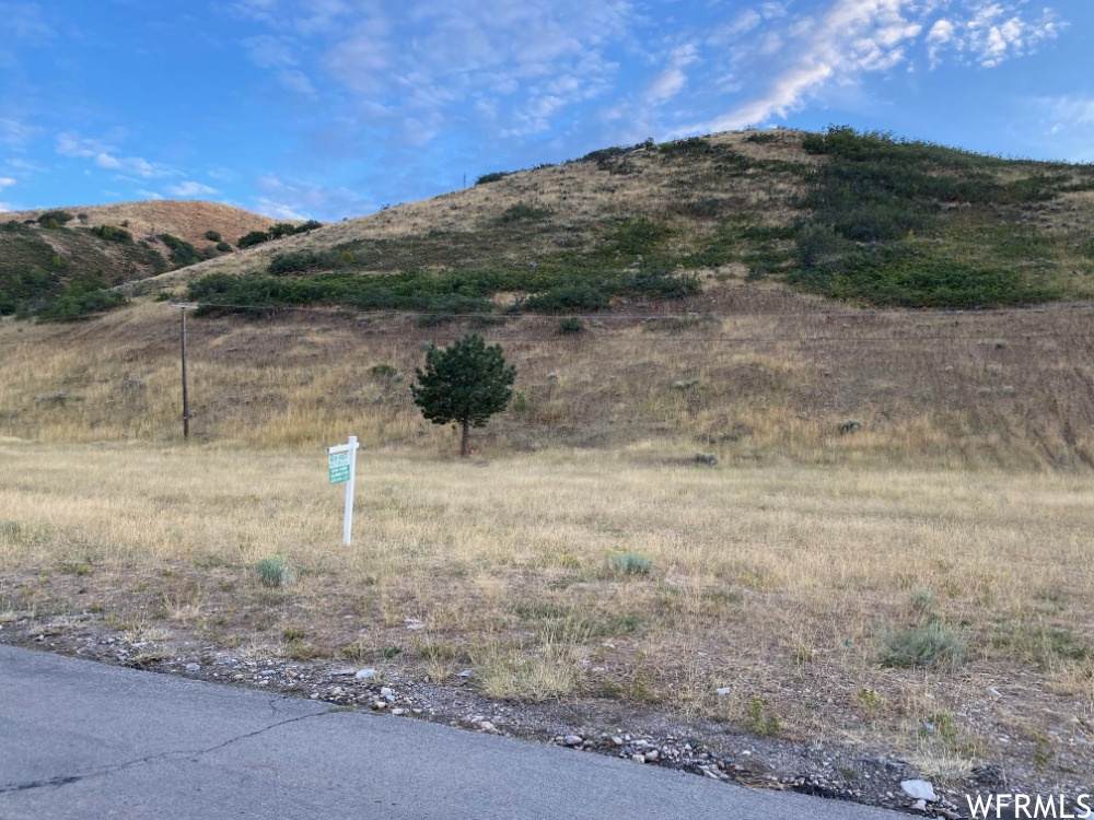 1370 Settlement Canyon Rd - Photo 1
