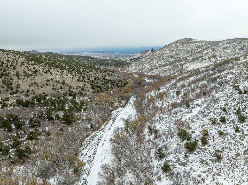 16095 Rose Canyon Rd - Photo 1