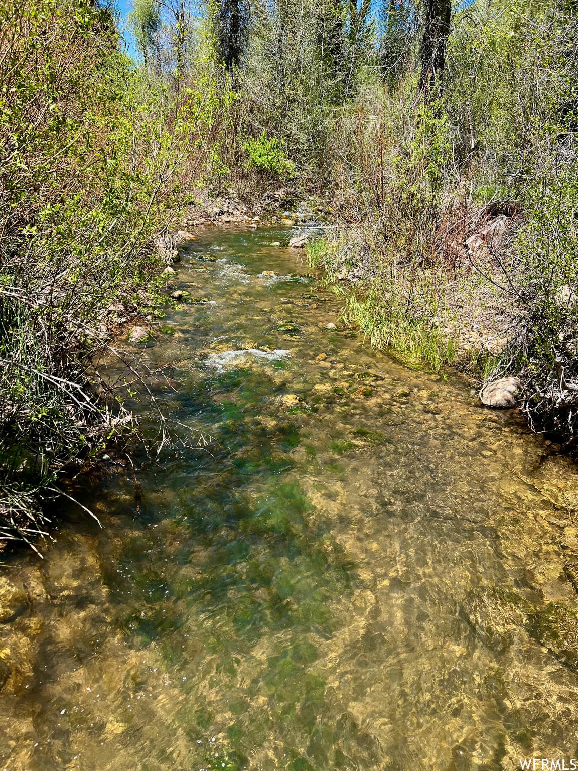 2630 Highway 39 - Photo 1