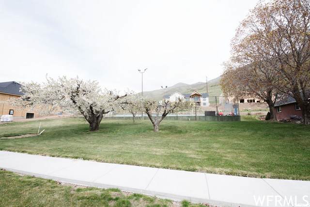 2023 150 - Photo 1